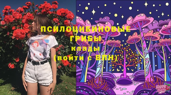 винт Абаза