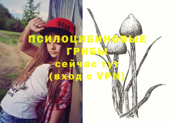 ГАЛЛЮЦИНОГЕННЫЕ ГРИБЫ Абинск