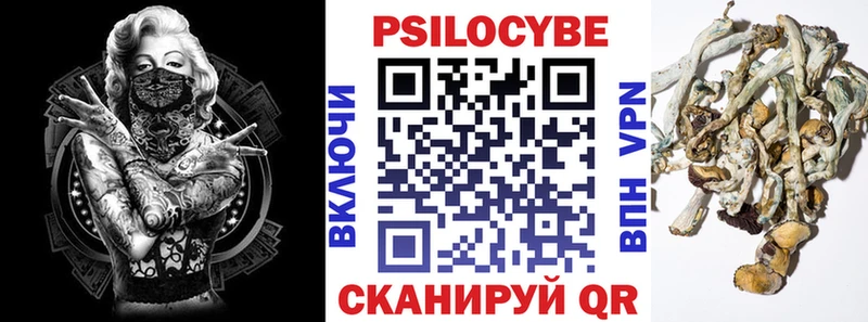 Галлюциногенные грибы Psilocybe  omg как зайти  Монино 